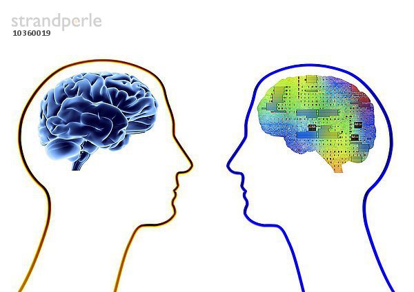 Künstliche Intelligenz und Kybernetik