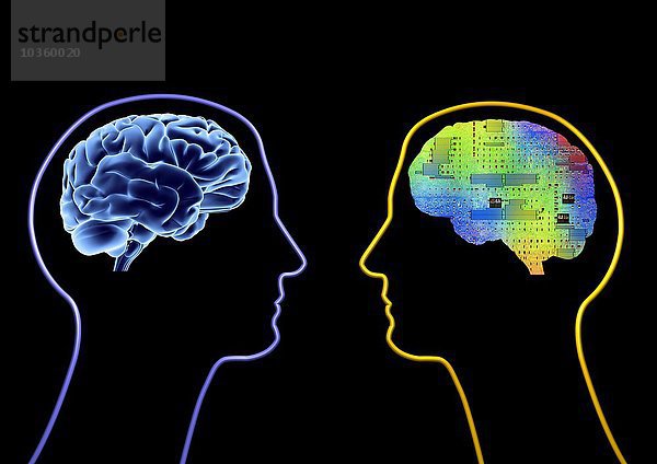 Künstliche Intelligenz und Kybernetik