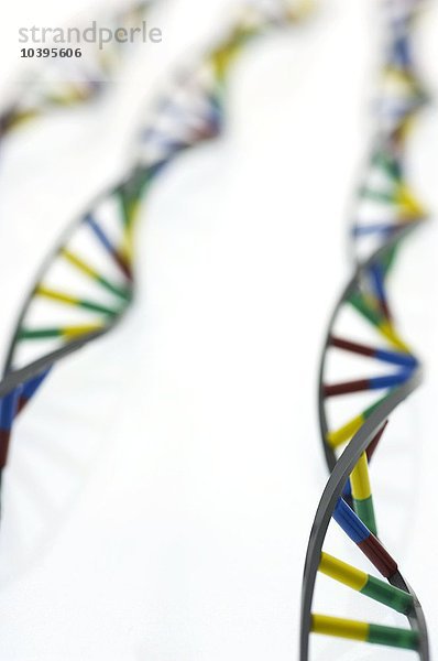 DNA-Moleküle
