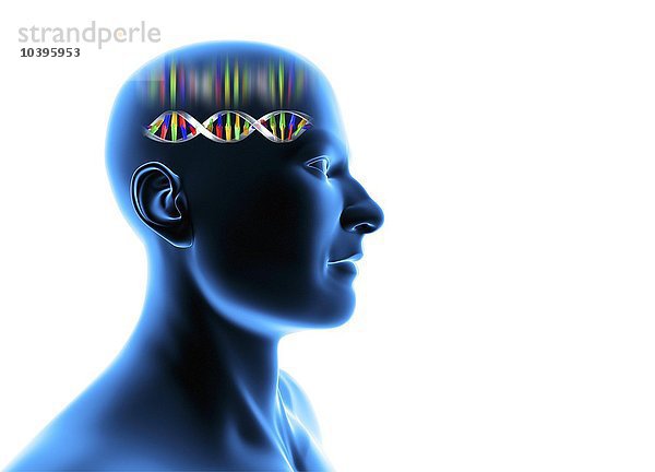 Genetische Individualität  männlicher Kopf mit DNA