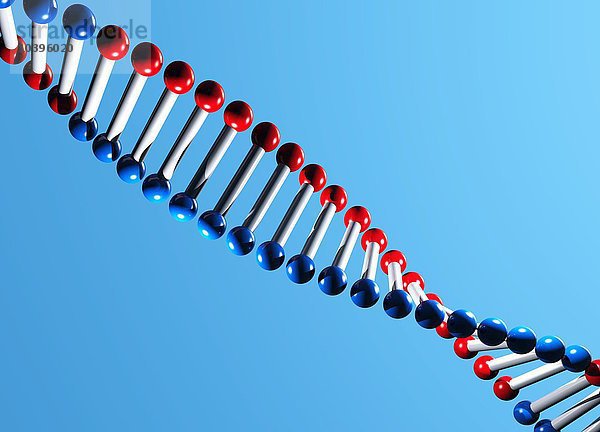 DNA-Molekül  Kunstwerk