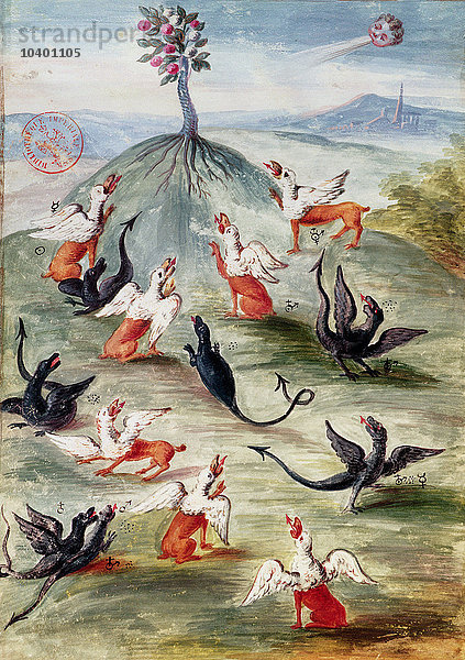 Ms Fr. 14765 f.20-21 Die schöne Blume auf dem Berg   allegorische Illustration mit Chimären  die alchemistische Prozesse darstellen  angeblich geschrieben und illuminiert von Nicolas Flamel (ca. 1330-1418) (Pergament)