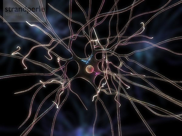 Nervenzelle  Kunstwerk