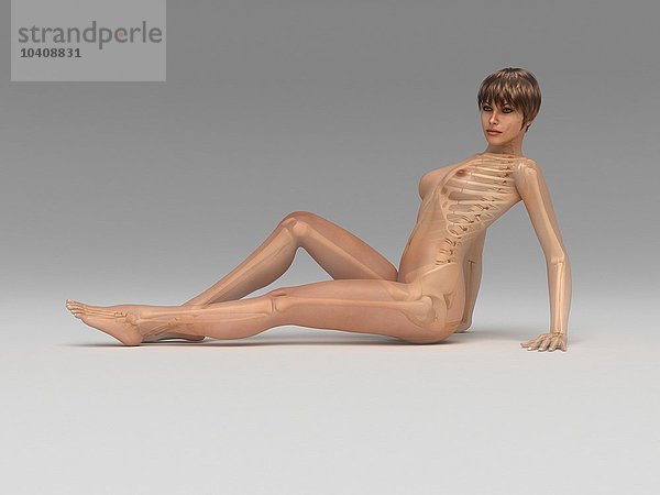 Weibliche Anatomie  Kunstwerke