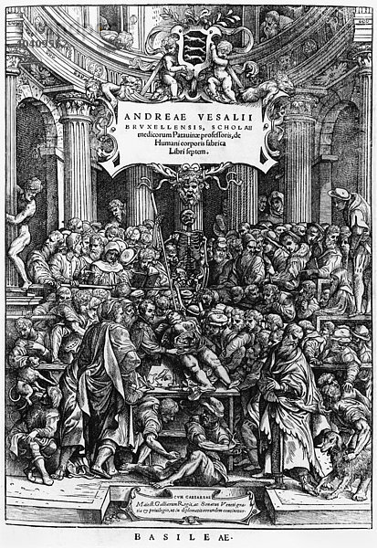 Flämische Schule  (16. Jahrhundert) Der Anatomieunterricht von Andreas Vesalius (1514-64) an der Medizinschule in Brüssel  Frontispiz aus De Humani Corporis Fabrica  erschienen in Basel  1555 (Stich) (s/w Foto) (siehe auch 466697)