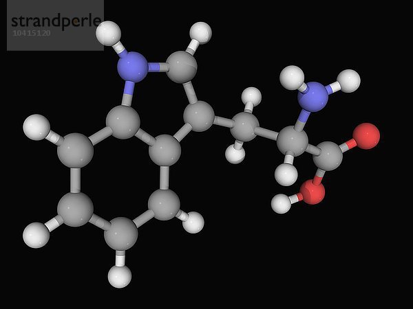 Tryptophan-Molekül