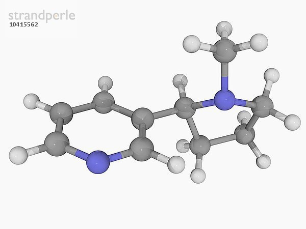 Nikotin-Molekül