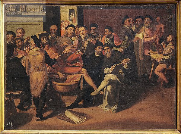 Anatomie-Lektion für Künstler. aus der Schule von Bartolomeo Passerotti (1529-1592)