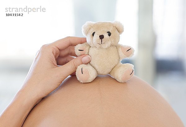 MODELL FREIGEGEBEN. Schwangere Frau mit einem Teddybär auf ihrem Bauch. Sie ist im 8. Monat schwanger.