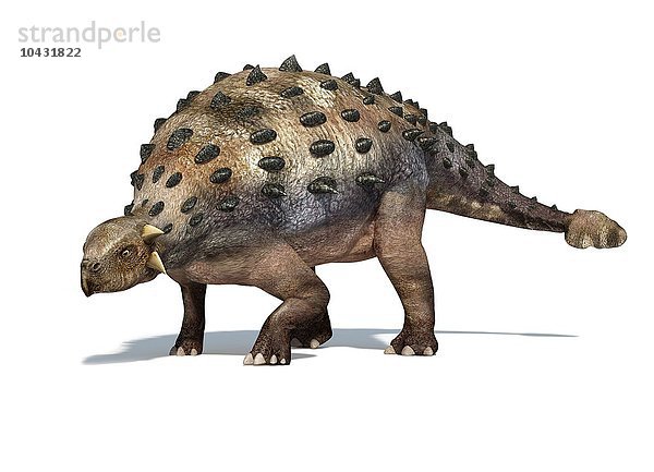 Ankylosaurier  Computergrafik. Dieser schwer gepanzerte Dinosaurier lebte im frühen Mesozoikum  in der Jura- und Kreidezeit  vor etwa 125 bis 65 Millionen Jahren. Er war ein pflanzenfressender Dinosaurier  und der Stachelpanzer diente als Schutz gegen fleischfressende Dinosaurier. Ankylosaurier besaßen auch einen schweren keulenartigen Schwanz  mit dem sie Angreifer an den Beinen verletzen konnten. Ein ausgewachsener Ankylosaurier konnte 6 bis 9 Meter lang sein und über 6 Tonnen wiegen... Ankylosaurier  Kunstwerk