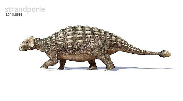 Ankylosaurier  Computergrafik. Dieser schwer gepanzerte Dinosaurier lebte im frühen Mesozoikum  in der Jura- und Kreidezeit  vor etwa 125 bis 65 Millionen Jahren. Er war ein pflanzenfressender Dinosaurier  und der Stachelpanzer diente als Schutz gegen fleischfressende Dinosaurier. Ankylosaurier besaßen auch einen schweren keulenartigen Schwanz  mit dem sie Angreifer an den Beinen verletzen konnten. Ein ausgewachsener Ankylosaurier konnte 6 bis 9 Meter lang sein und über 6 Tonnen wiegen... Ankylosaurier  Kunstwerk