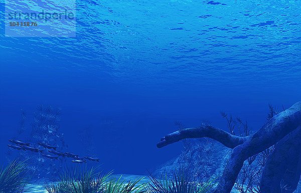 Unterwasserszene  Computerbild  Unterwasserszene  Kunstwerk