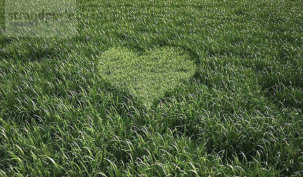 Herzförmiges Gras  Computerkunstwerk Herzförmiges Gras  Kunstwerk