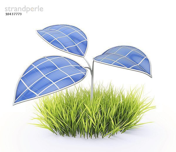 Kleines  rundes Stück frisches Gras mit einer Photovoltaikanlage  grüne Energie  konzeptionelles Kunstwerk