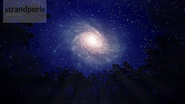 Eine Nachtansicht einer Spiralgalaxie  Spiralgalaxie  Kunstwerk