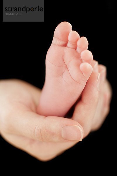 MODELL FREIGEGEBEN. Baby's Fuß. Mutter hält den Fuß ihrer 5 Wochen alten Tochter Baby's foot