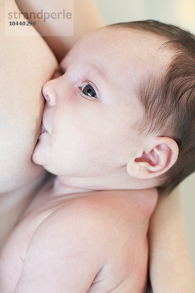 MODELL FREIGEGEBEN. Stillen. Mutter  die ihre 5 Wochen alte Tochter stillt Stillen