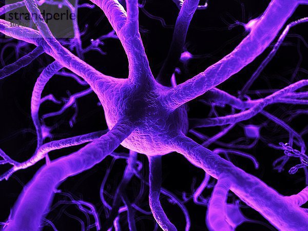 Nervenzellen  Computerkunstwerke  Nervenzellen  Kunstwerke