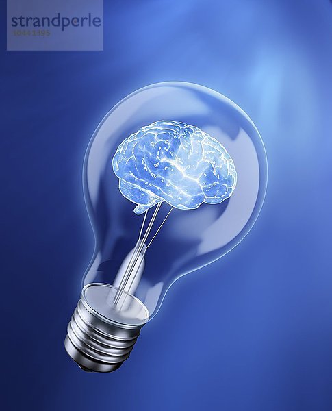 Gehirn in einer Glühbirne - Idee  Konzept  Intelligenz  konzeptionelles Kunstwerk
