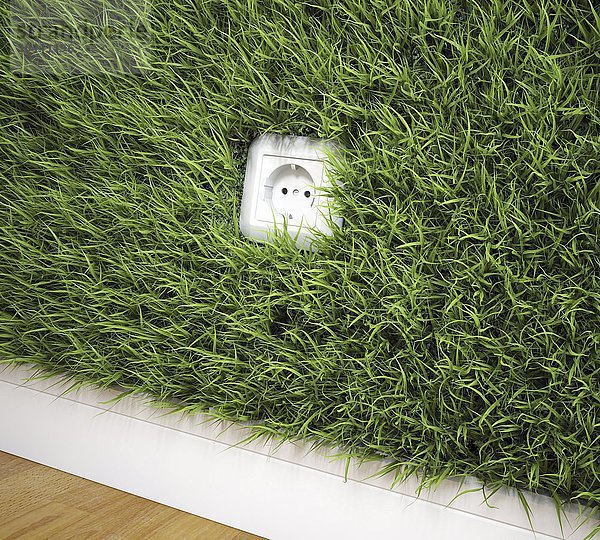 Eine Steckdose an einer mit Gras bewachsenen Wand - erneuerbare Energie  grüne Energie  konzeptionelles Kunstwerk