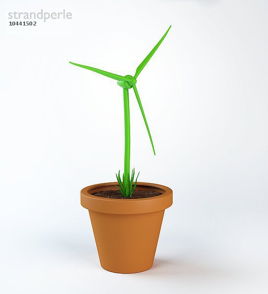 Ein grünes Windrad  das aus einer Topfpflanze wächst  grüne Energie  konzeptionelles Kunstwerk
