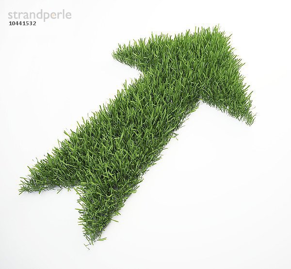 Ein Pfeil aus einem Stück Gras Grüne Zukunft  konzeptionelles Kunstwerk