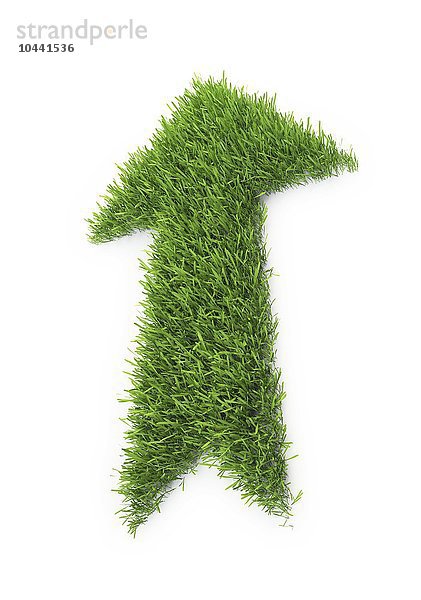Ein Pfeil aus einem Stück Gras Grüne Zukunft  konzeptionelles Kunstwerk