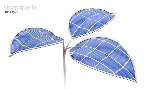 Photovoltaische Blätter - Künstliche Photosynthese Konzept Illustration  Grüne Energie  konzeptionelles Kunstwerk