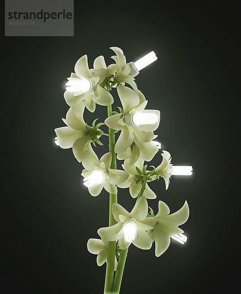 Grünes Energiekonzept - eine Pflanze mit energiesparenden Zwiebelblumen  grüne Energie  konzeptionelles Kunstwerk