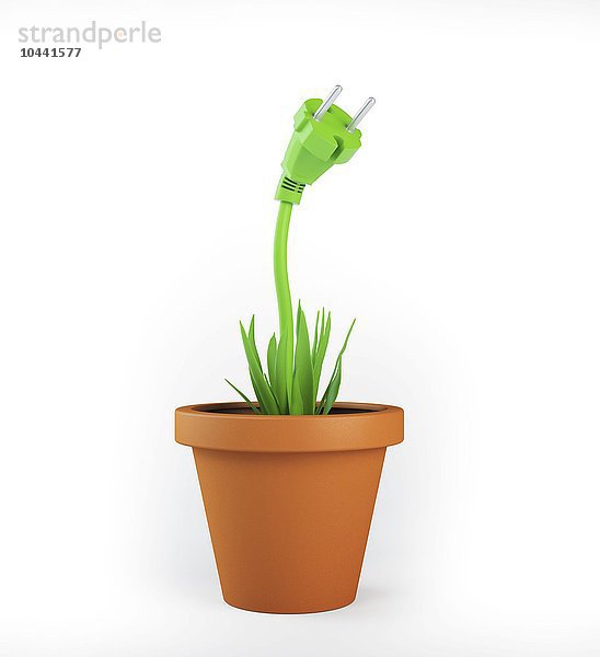 Grünes Energiekonzept - grünes Stromkabel  das aus einer Topfpflanze wächst  grüne Energie  konzeptionelles Kunstwerk