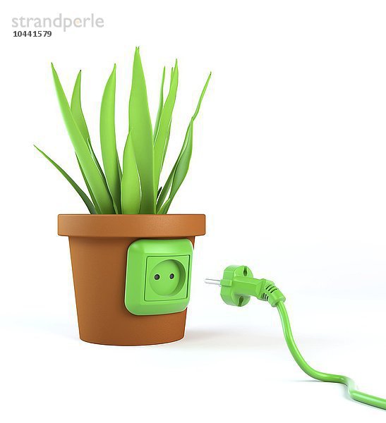 Grünes Energiekonzept - grünes Stromkabel und eine Topfpflanze mit einer Steckdose  grüne Energie  konzeptionelles Kunstwerk