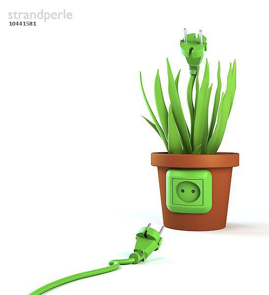 Grünes Energiekonzept - grünes Stromkabel und eine Topfpflanze mit einer Steckdose  grüne Energie  konzeptionelles Kunstwerk