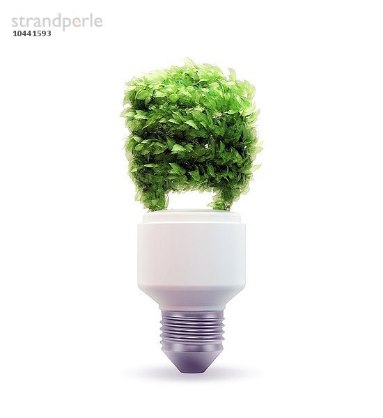 Eco und grüne Energie Konzept Illustration - Blatt bedeckt Glühbirne  grüne Energie  konzeptionelle Kunstwerk