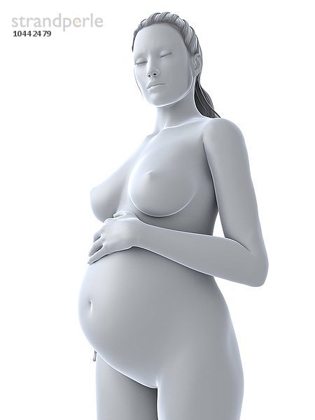 Schwangerschaft  Computerkunstwerke Schwangerschaft  Kunstwerke