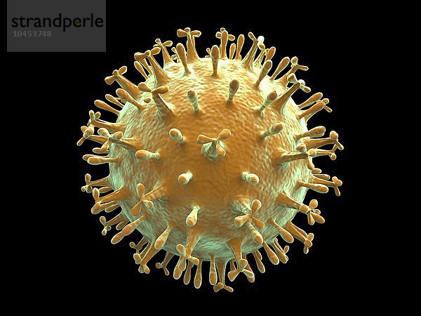 Computergrafik eines generischen Viruspartikels  die Virustypen wie Corona  Vogelgrippe  Aids  Influenza  Schweinegrippe und Herpes darstellt. Virus  Grafik