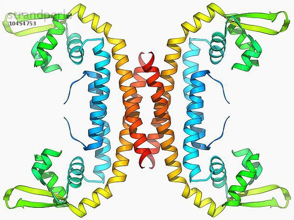 Parathion-Hydrolase  molekulares Modell. Dieses Enzym hydrolysiert Bindungen in Organophosphaten  zu denen Pestizide und das Nervengas Sarin gehören. Parathionhydrolase-Enzym