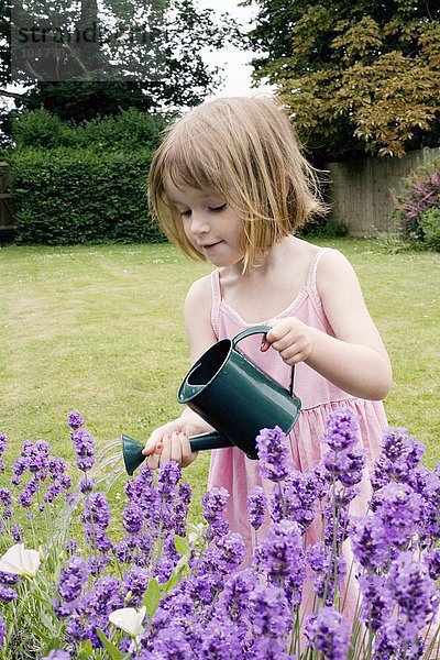 MODELL FREIGEGEBEN. Junges Mädchen gießt Blumen mit einer Spielzeug-Gießkanne in einem Garten. Sie ist vier Jahre alt. Junges Mädchen gießt Blumen