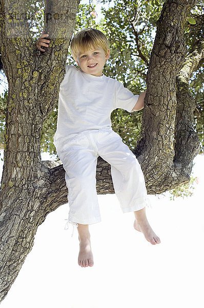 MODELL FREIGEGEBEN. Junge sitzt auf einem Baum  den er erklommen hat Junge sitzt auf einem Baum