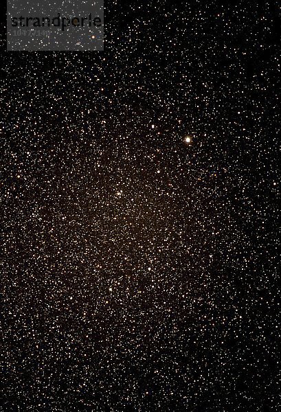 Optische Aufnahme des Sternbilds Leier und des Sterns Wega. Das Sternbild besteht aus vier Sternen  die ein Parallelogramm direkt unter Wega  dem hellsten Stern im Bild  bilden. Die 26 Lichtjahre entfernte Wega (oder Alpha Lyra) ist der fünfthellste Stern am Himmel. 105mm  f/2.5  EPD 200-400  50 Minuten Belichtungszeit Sternbild Leier & der Stern Wega
