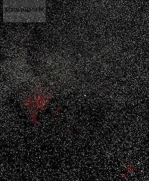 Nördliches Cygnus-Sternfeld. Optisches Bild von Sternen im nördlichen Teil des Sternbilds Cygnus. Dieses Gebiet ist reich an roten Wasserstoffnebeln. Der Nebel in der Mitte links ist der Nordamerika-Nebel (NGC 7000)  der so genannt wird  weil er der Form dieses Kontinents ähnelt. Der helle Stern in der Mitte ist Deneb (^Ialpha Cygni^i)  ein sehr heller und weit entfernter weißer Überriese. Norden ist oben Optisches Bild der Sternfelder im nördlichen Cygnus