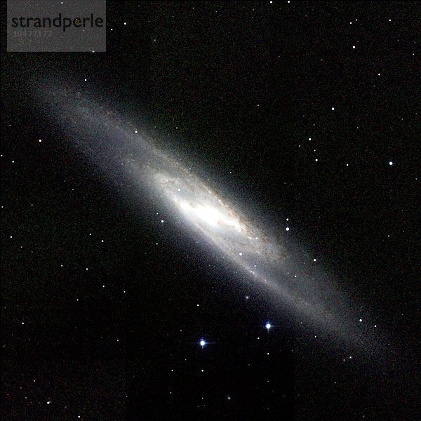 Spiralgalaxie NGC 253
