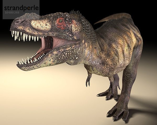 Tyrannosaurus rex Dinosaurier