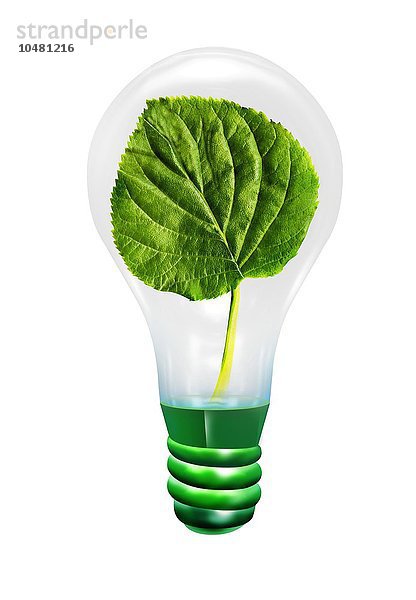 Grüne Energie  konzeptionelles Kunstwerk