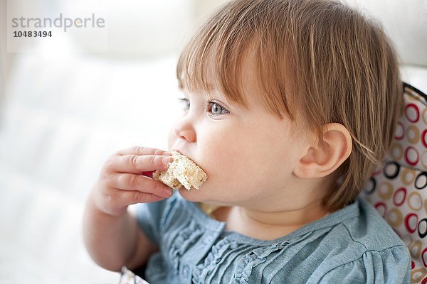 MODELL FREIGEGEBEN. Kleinkind isst Brot. Sie ist 15 Monate alt. Kleinkind isst