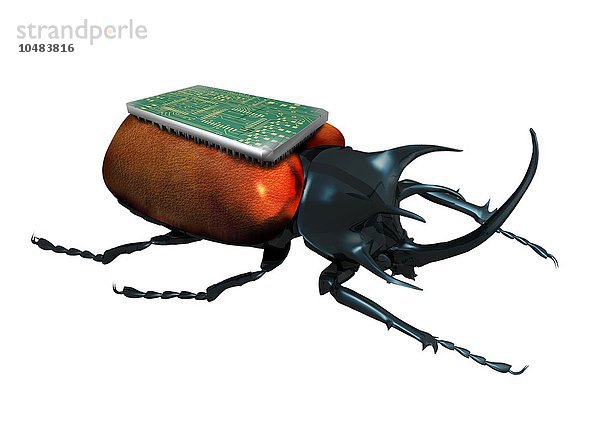 Insektenspion  konzeptionelles Computerkunstwerk. Käfer mit einem Mikrochip auf dem Rücken  Insektenspion  konzeptionelles Kunstwerk