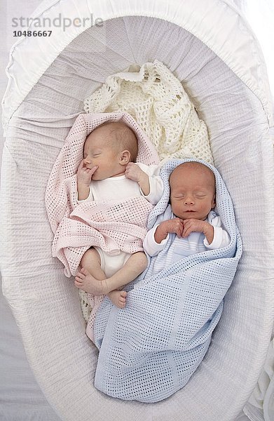 MODELL FREIGEGEBEN. Zwei Wochen alte zweieiige Zwillinge Zwei Wochen alte Zwillinge