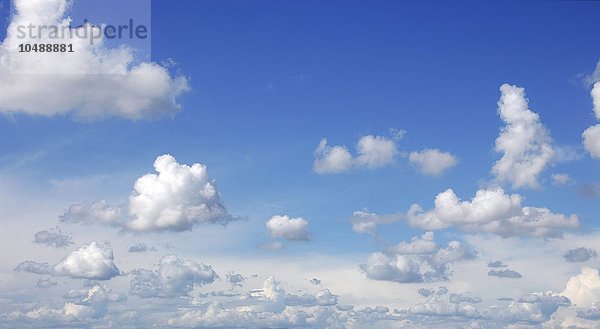Blauer Himmel mit Kumuluswolken  Computerkunstwerk Blauer Himmel mit Kumuluswolken  Kunstwerk