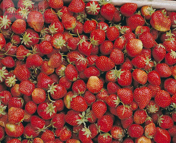 10017943  Früchte  Erdbeeren  unzählige  viele  Lebensmittel  essen  aufgetürmt