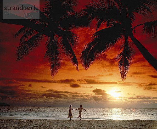 10165666  Hand in Hand  Paar  Paar  Palme  romantisch  Sommerkleidung  Sonnenuntergang  Spaziergang  Strand  Meeresufer  Umrisse  Urlaub  va