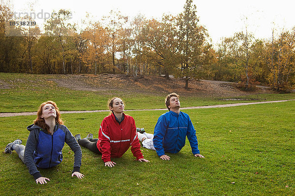 Drei junge Freunde  die sich auf Gras im Park ausstrecken.